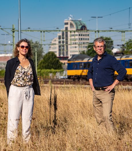 Crowdfunding voor nieuw zonnepark in Deventer: ‘Als het aan ons ligt komen er achthonderd panelen’