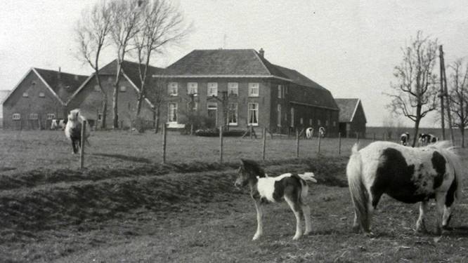 In de jacht op polsklokjes werd Huissenaar Dirk met een sabel onthoofd