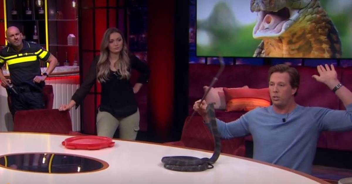 Freek Vonk En Zijn Koningscobra Maken Indruk Aan Tafel Bij Humberto Show Bd Nl