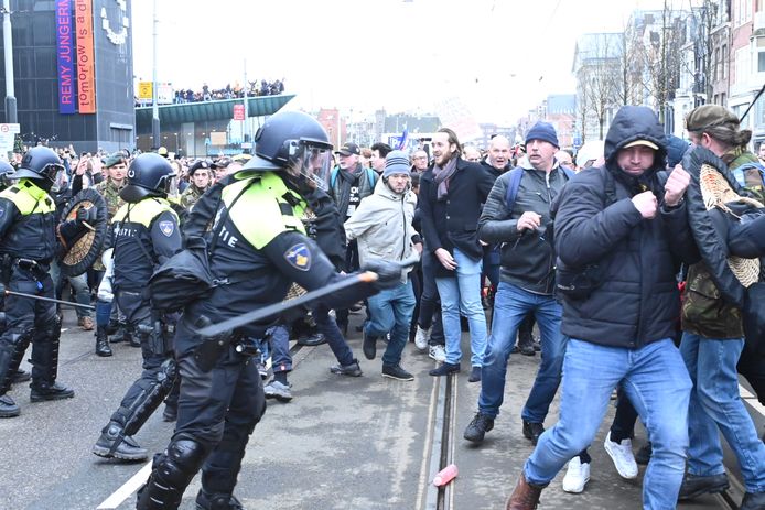 Amsterdamse 'politiekat' wereldwijd viral: 'Wordt herkend op straat