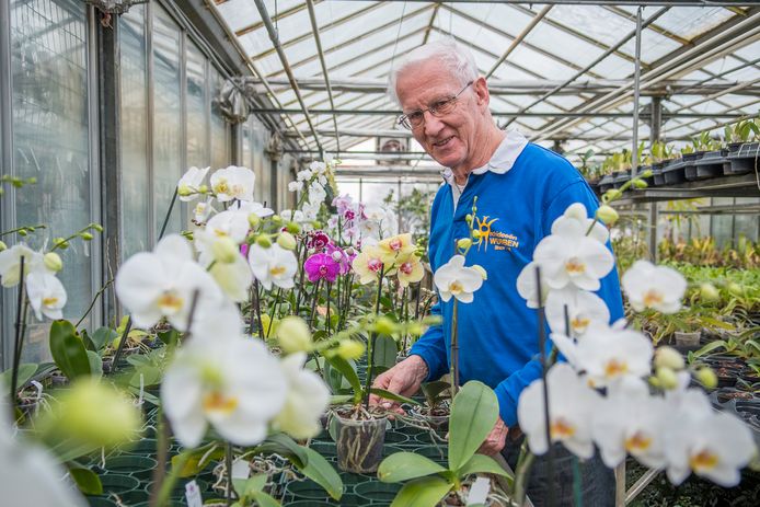 Koos Wubben is 84 jaar is er nog steeds niet klaar mee.