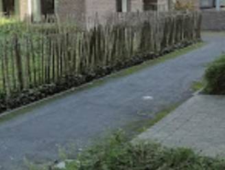 Wandelpaden Jef Burmpark worden heraangelegd: “Water blijft staan en steeds meer mosgroei”