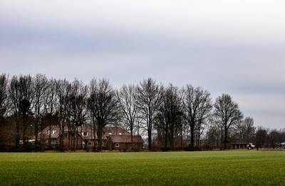 30 jonge asielzoekers neergestreken in Liessel