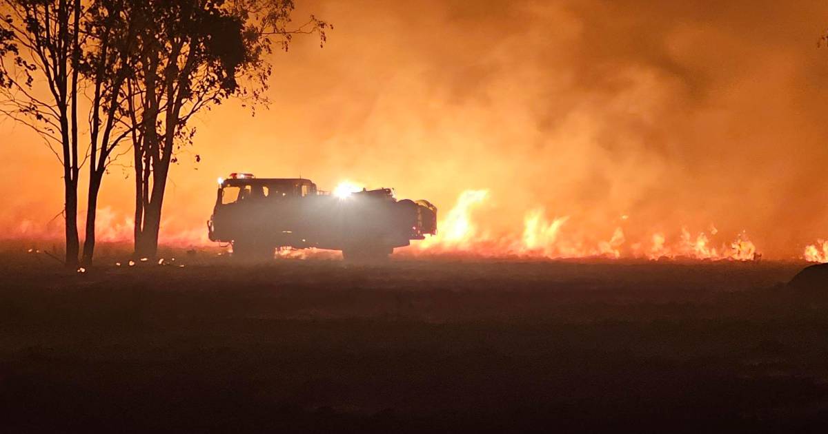 Una vittima mortale e centinaia di sfollati negli incendi boschivi in ​​Australia |  al di fuori