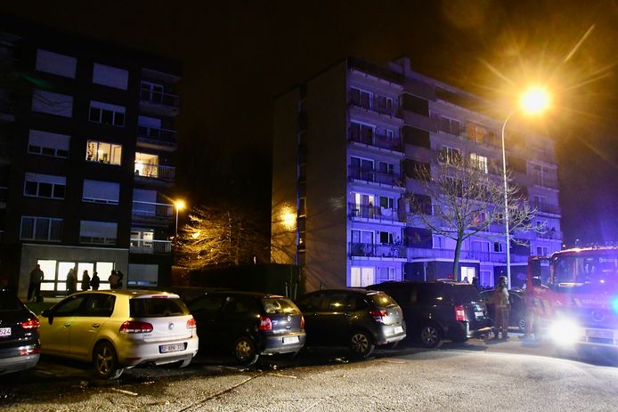 Het brandje situeerde zich in een flat op de derde verdieping van een appartementsgebouw langs de Zonnebloemlaan in Izegem.