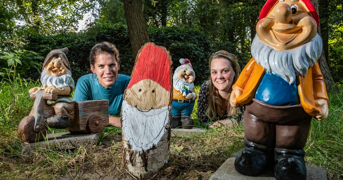 Binnenkort staat dit bos in Mariënheem vol met kabouters: ‘Alle soorten en maten zijn welkom’