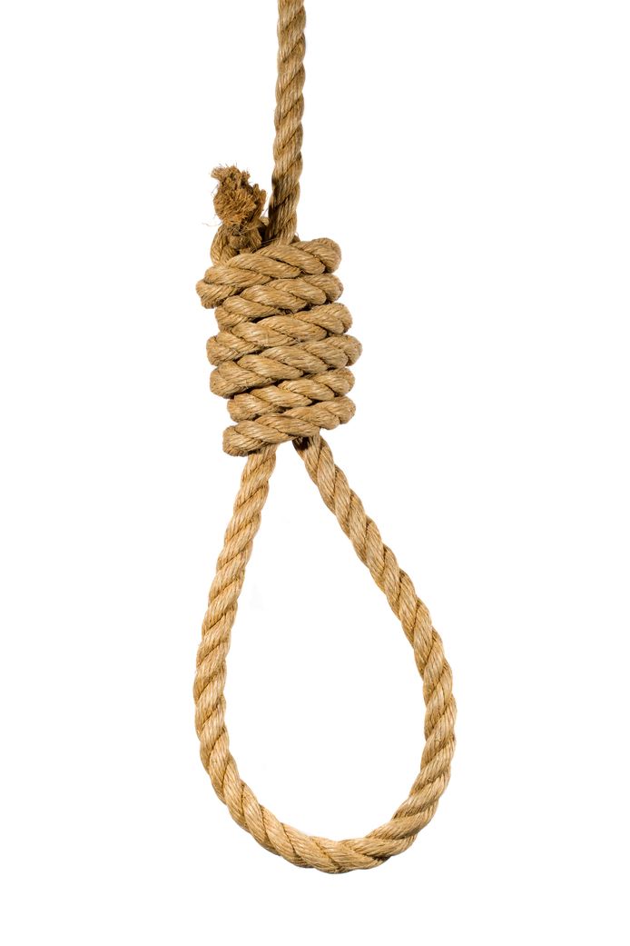 Natural hemp rope tied into a hangman's noose.