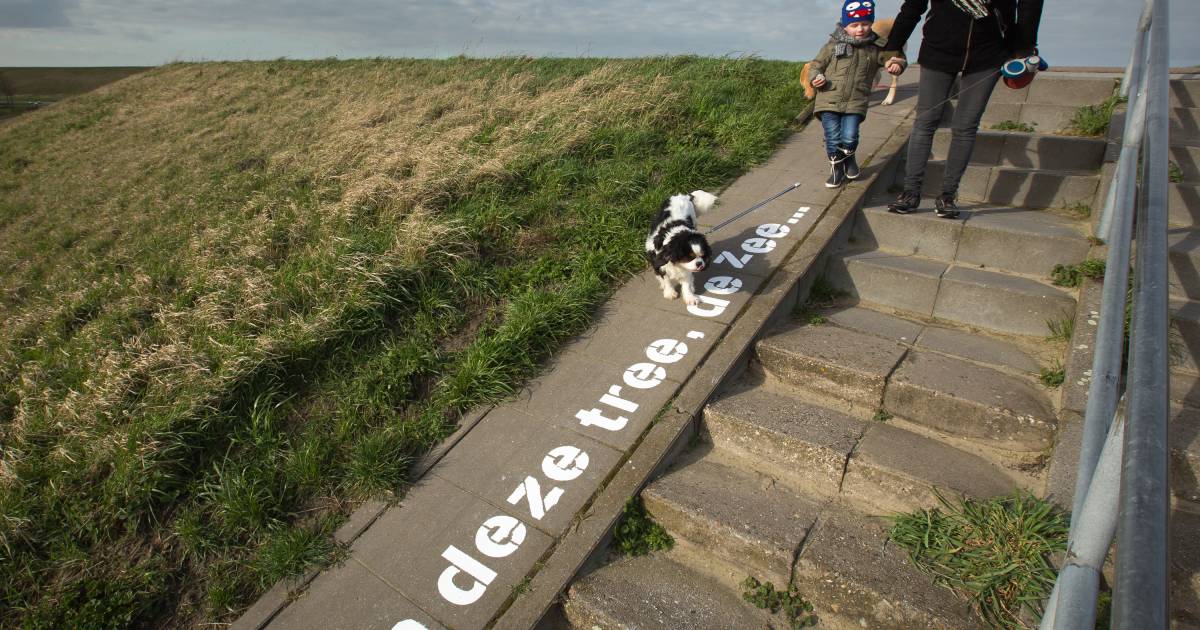 Poëzie in de openlucht aan de Oosterschelde | Bevelanden