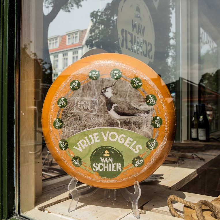 De boeren op Schiermonnikoog hopen meer geld te verdienen met hun eigen kaasmerk.  Beeld Harry Cock / De Volkskrant