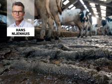 Boeren botsen met Brussel, maar de boeman is Den Haag 