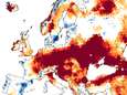 België bij zwaarst getroffen landen door extreme droogte in Europa: ons grondwater doet het slechter dan dat in Spanje en Zuid-Italië