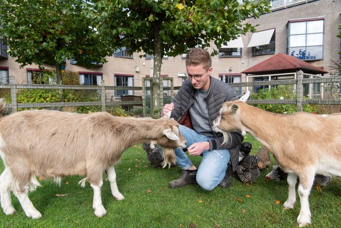 Wie wil de geiten en kippen van Sytse Bouma (21)?