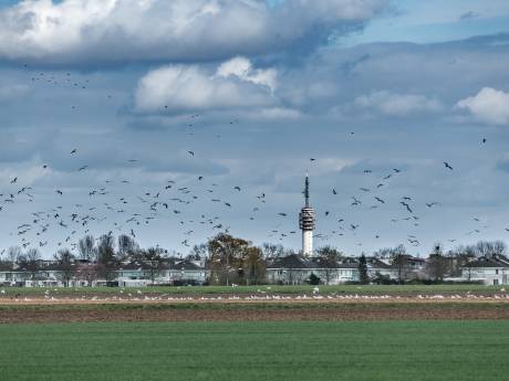 Roosendalers gefrustreerd over inspraak rond nieuwbouw ziekenhuis: ‘Weggezet als kleuters’