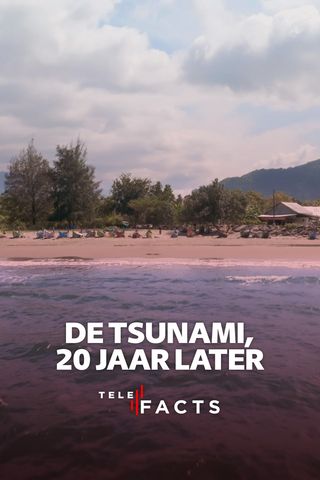 De tsunami, 20 jaar later