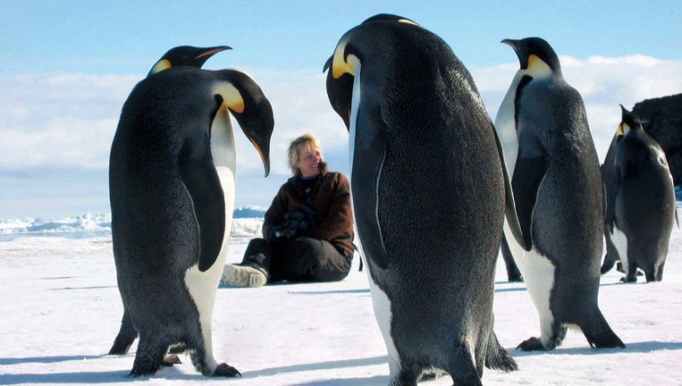 Poolonderzoeker Jane Francis tussen de pinguïns op Antartica. Beeld National Geographic