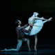 Olga Smirnova verbluft in Het Zwanenmeer ★★★★☆