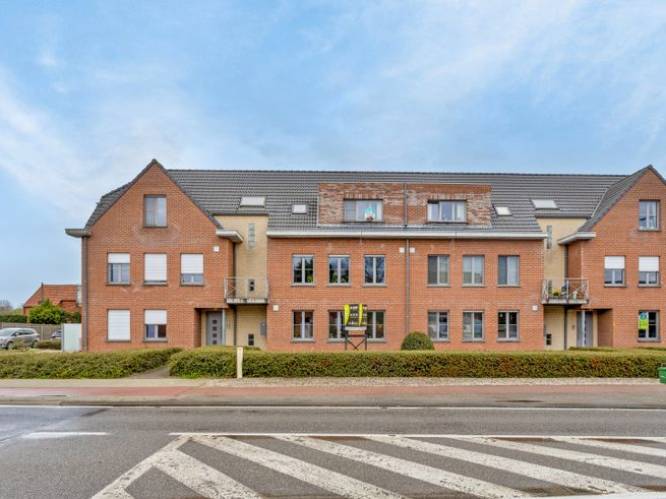 Deze 8 woningen zijn nu te koop in Dessel