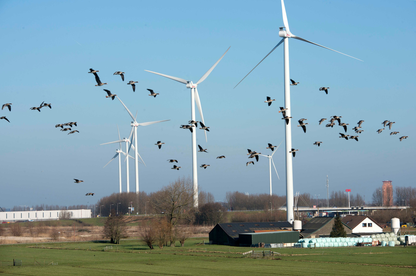 Een week vol tegenwind voor Utrechtse windmolens; staan de plannen nu op losse schroeven? Foto