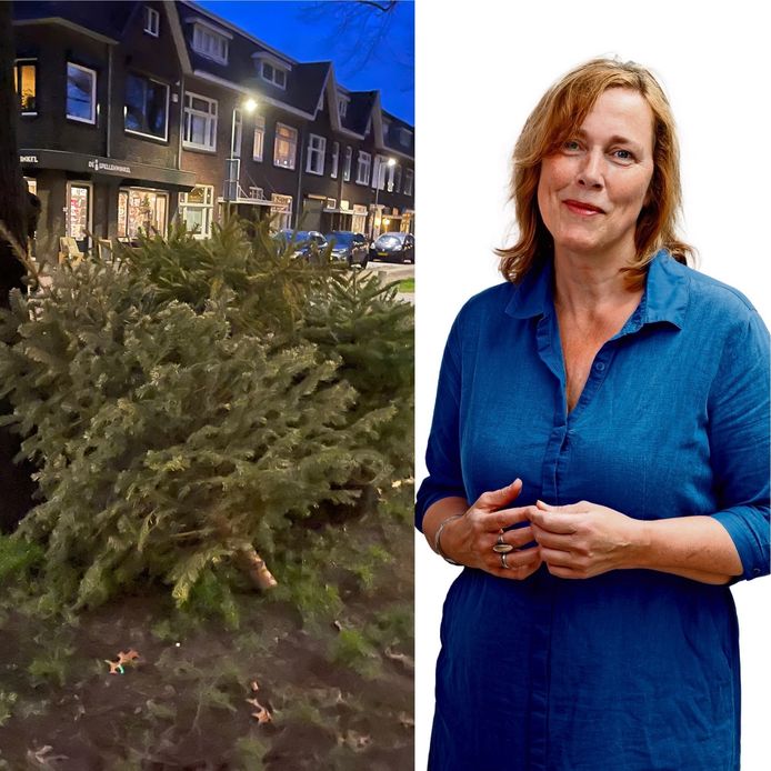 Een stapel gedumpte kerstbomen in Breda.