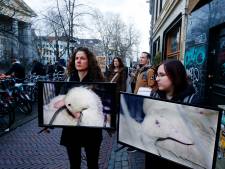 Na meerdere bezoekjes van dierenactivisten haalt dit restaurant foie gras van de kaart: ‘Ik word gedwongen’