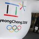 Twee Korea's onder één vlag bij opening Spelen