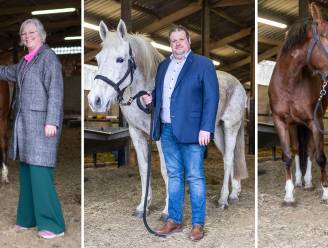 Dendermonde, Aalst en Sint-Niklaas gaan strijd met elkaar aan voor kampioenschap tegelwippen