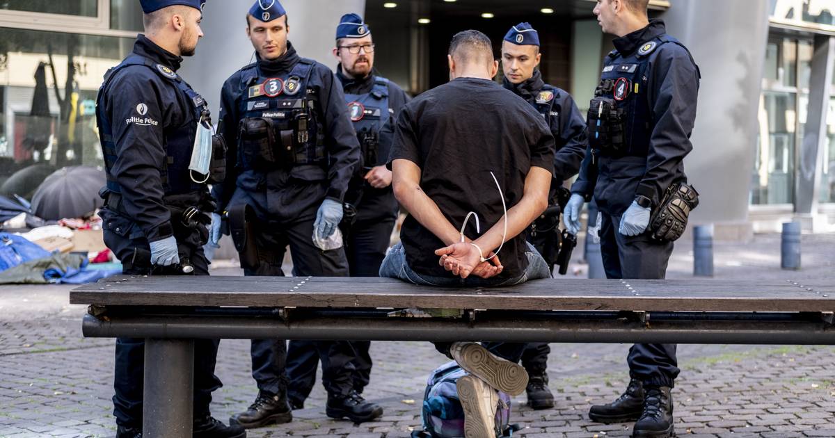 Large-scale police action cleans up Brussels South Station: Rat and Drug Dealer Free