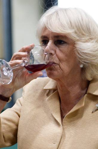 Camilla in alle stilte behandeld in India: heeft de koningin-gemalin een alcoholprobleem?
