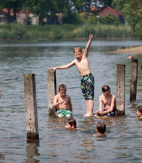 Blauwalg in recreatieplassen in Gendt en Doornenburg: ‘Pas op met zwemmen’ 