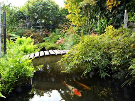 Tuinliefhebbers opgelet: op deze datum is de Open Tuindag in Deventer