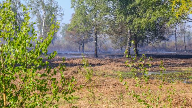 Brandteam Zuid-Nederland bijna paraat om met motorzaag en zweep vlammen in de natuur te doven