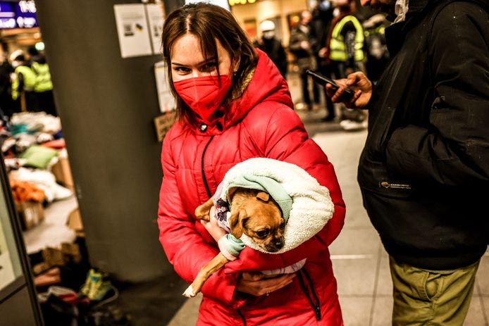 Een Oekraïense vluchteling en haar hond in het station Berlin Hauptbahnhof.