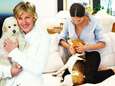 Ellen DeGeneres en Meghan Markle hebben gemeenschappelijk liefde voor honden