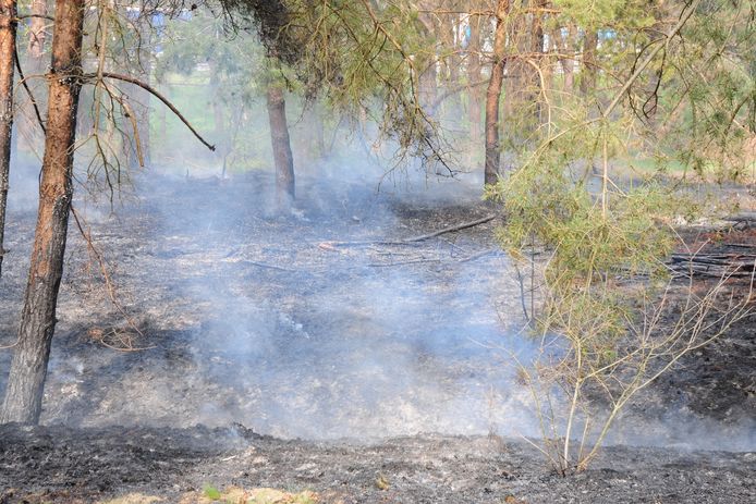 Natuurbrand bij Maarheeze snel onder controle.