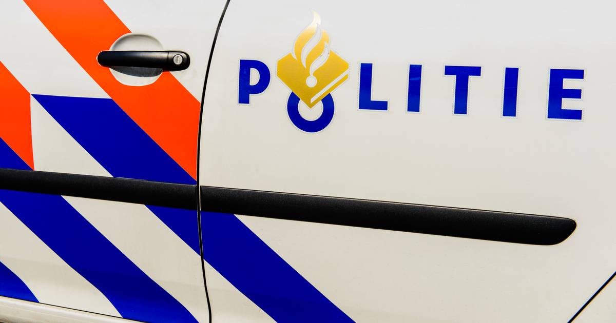 Man uit Zaltbommel komt om bij nachtelijk ongeval in Culemborg.