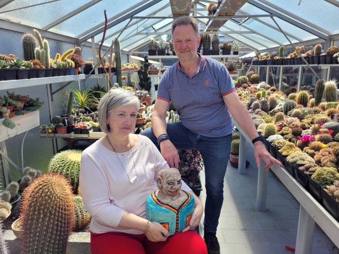 Cactusverzamelaar Dirk en keramiekkunstenares Mieke houden samen opendeur: “Ruim 1.500 cactussen te bewonderen”