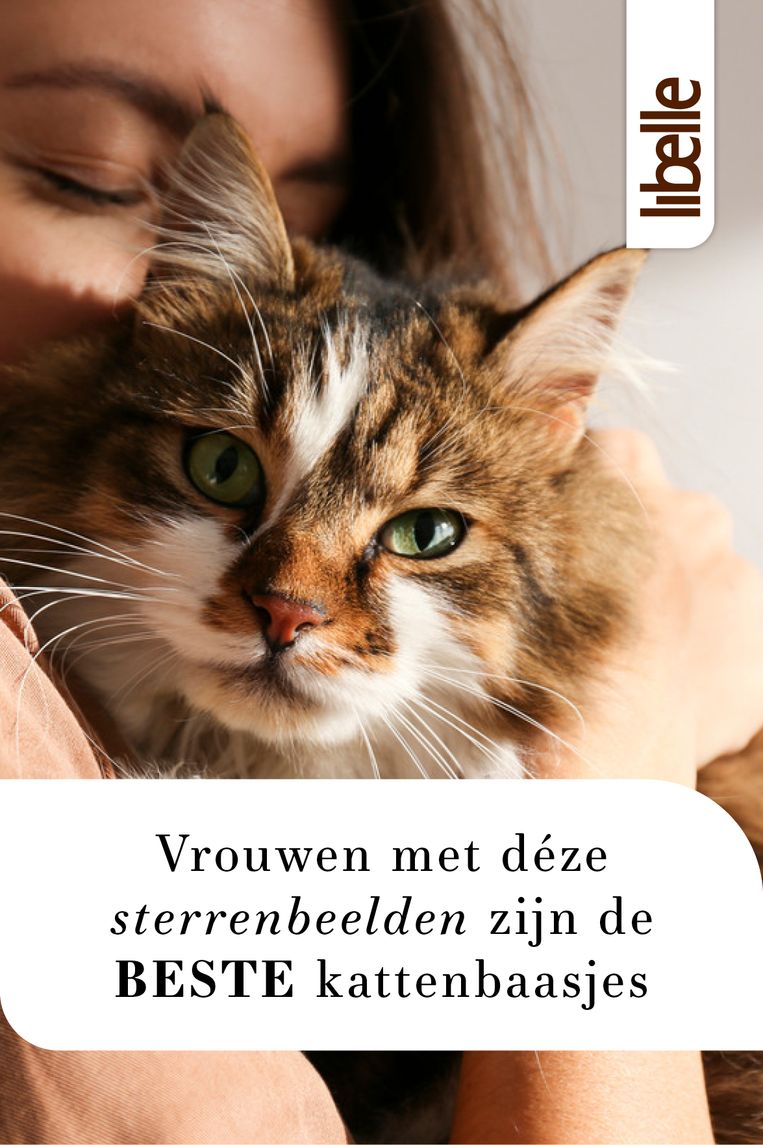 Pinterest : Vrouwen met déze sterrenbeelden zijn de beste kattenbaasjes Beeld Libelle