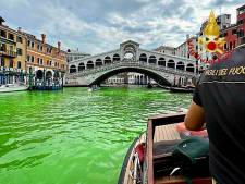Le Grand Canal de Venise vire au vert fluo