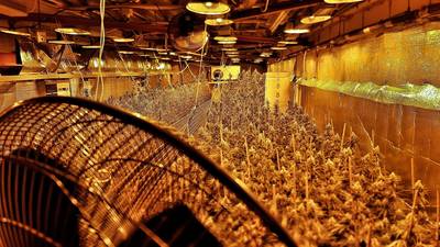 Hoogste baas Openbaar Ministerie: Macht Brabantse onderwereld amper te breken