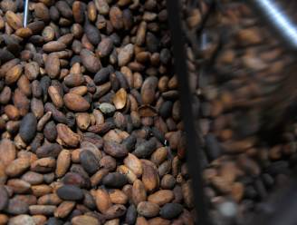 Na recordprijzen cacao nu grootste daling ooit: ruim kwart lager in twee dagen
