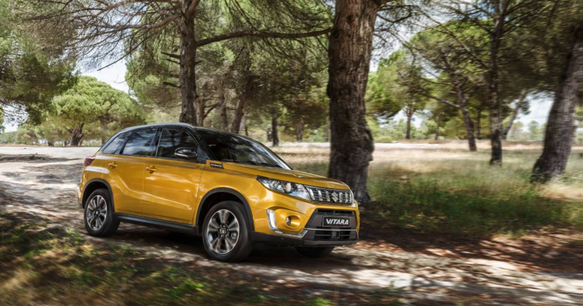 Suzuki Viking rally: doe mee aan de wedstrijd | Mobiliteit | hln.be