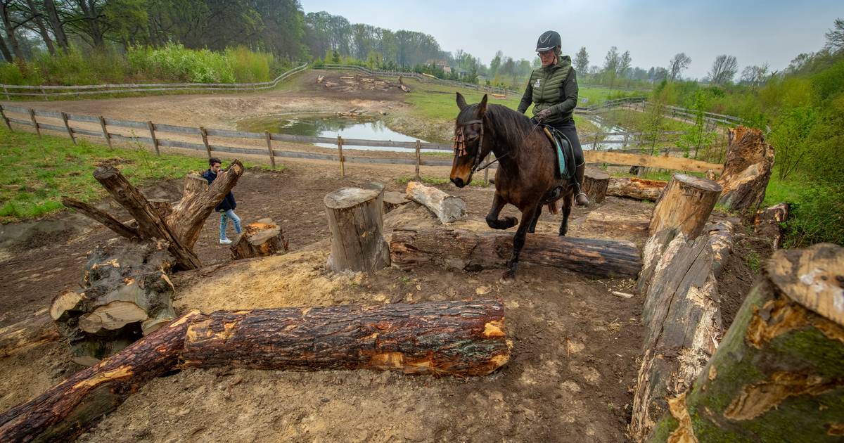 ‘Efteling voor paarden’ in Empe; klauteren over rotsen, zwemmen door water en klimmen over bruggen