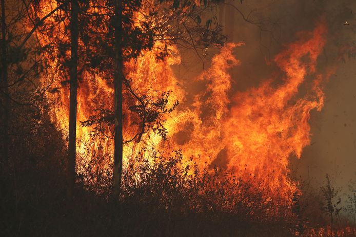 Beeld ter illustratie, bosbrand in het noorden van de Australische deelstaat New South Wales.