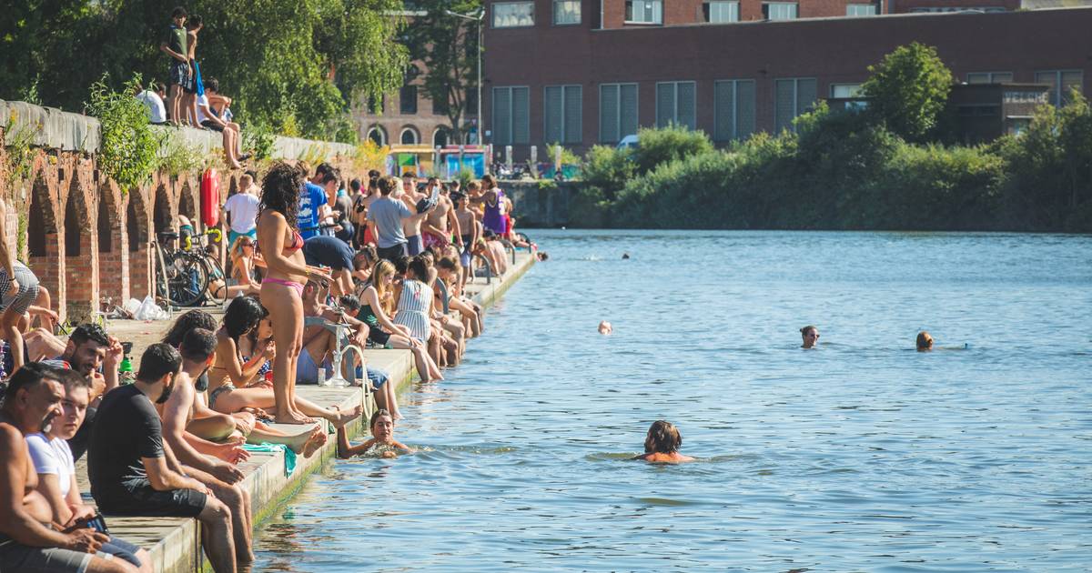 juni Beer Blanco Zwemmen in het Houtdok zal ook deze zomer niet kunnen. “Waterkwaliteit  voldoet niet aan Europese normen” | Gent | hln.be