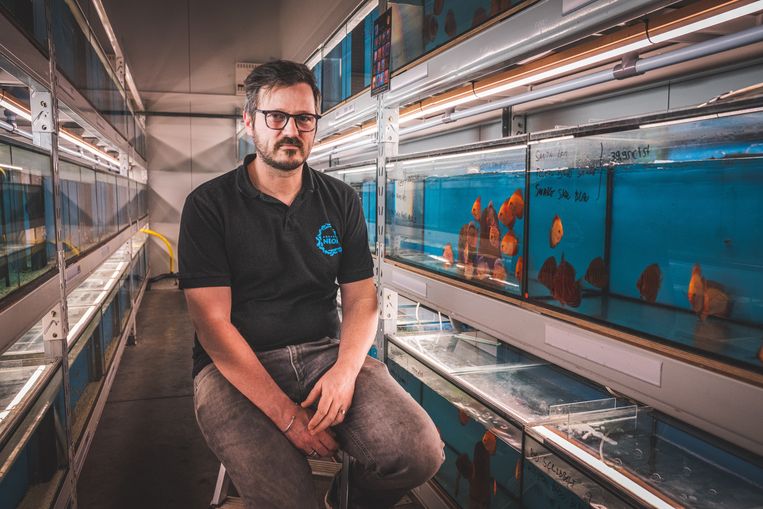 Bruno Collet van Aquarium Neon in Lochristi. Beeld Wannes Nimmegeers
