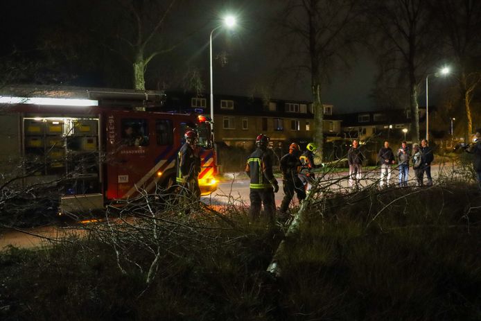 Ook op de Plaswijkweg in Gouda waaide een boom om.
