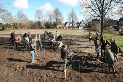 Jeugd van Riel zet 600 bomen en struiken langs het Bels Lijntje weg op Boomfeestdag