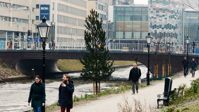 Huizen slopen voor groen om de stad gezond te houden? ‘Kan in Utrecht opnieuw gebeuren’