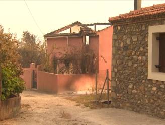 Zwartgeblakerde bomen en verwoeste huizen: Griekse eiland Evia meet de schade op