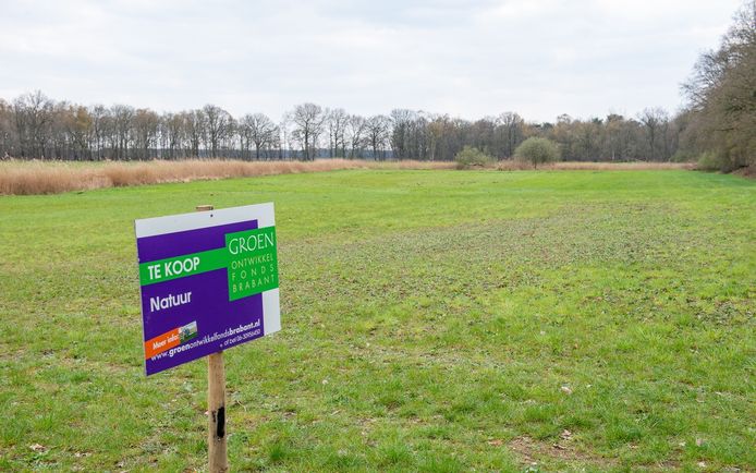 Het perceel Brouwerswijer in Bergeijk.